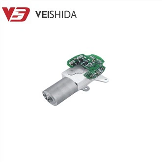 Didelio sukimo momento reduktoriaus variklis 12v