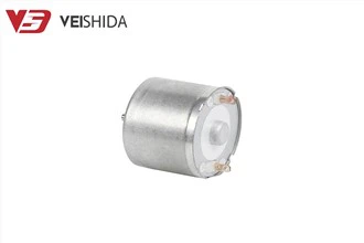 24 mm mikro tauriųjų metalų šepečio variklis