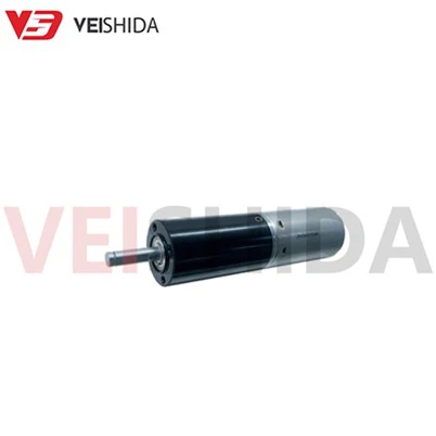 Didelio sukimo momento pavarų variklis